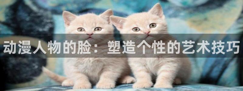 age动漫omofun：动漫人物的脸：塑造个性的艺术技巧