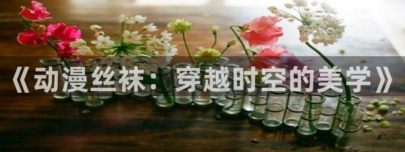 下载age动漫：《动漫丝袜：穿越时空的美学》