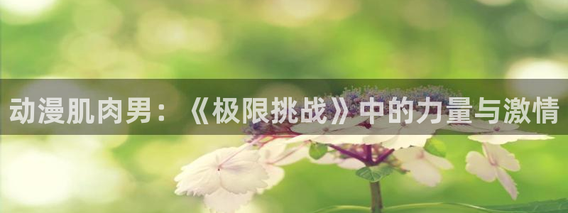 下载age动漫：动漫肌肉男：《极限挑战》中的力量与激情