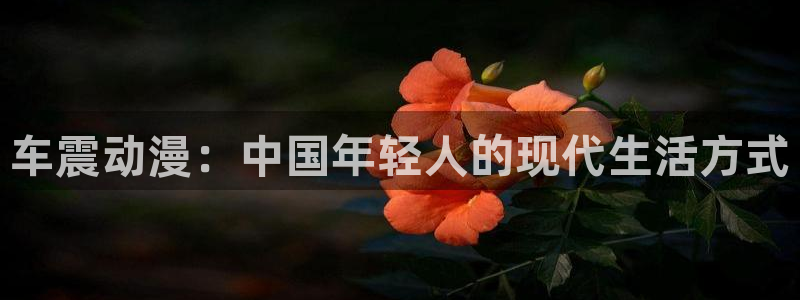 stagenehind韩漫免费观看：车震动漫：中国年轻人的现代生活方式
