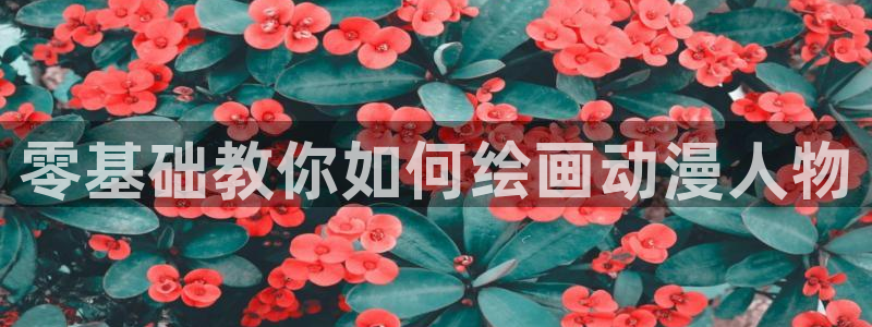 colamanage漫画：零基础教你如何绘画动漫人物