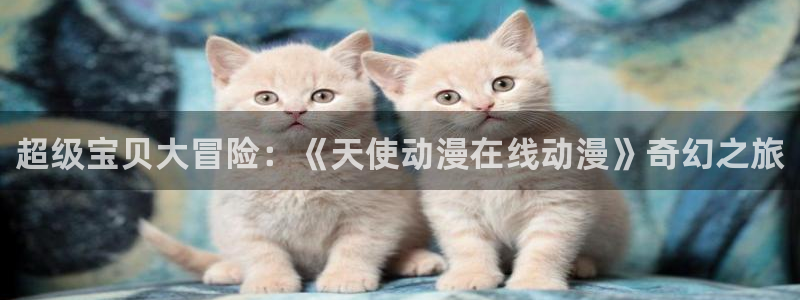 age动漫正版网：超级宝贝大冒险：《天使动漫在线动漫》奇幻之旅