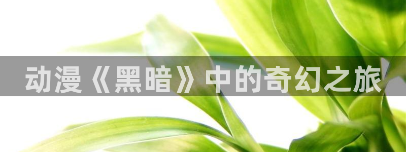 age动漫专注动漫的门户网站：动漫《黑暗》中的奇幻之旅