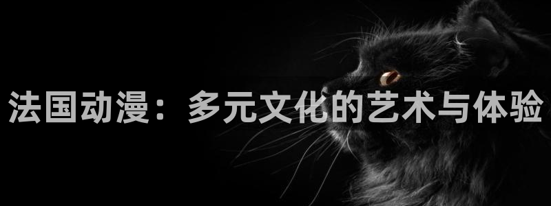 kakaopage韩漫官网：法国动漫：多元文化的艺术与体验