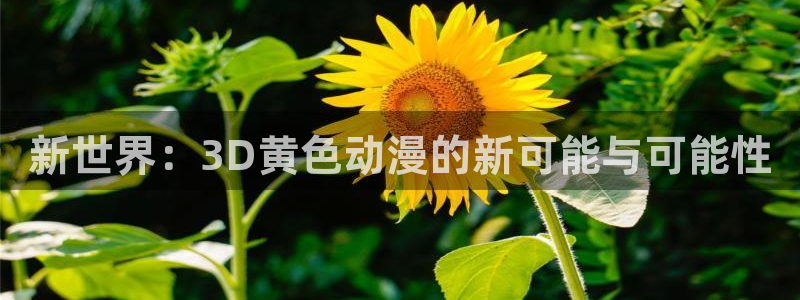 volcanicage漫画：新世界：3D黄色动漫的新可能与可能性