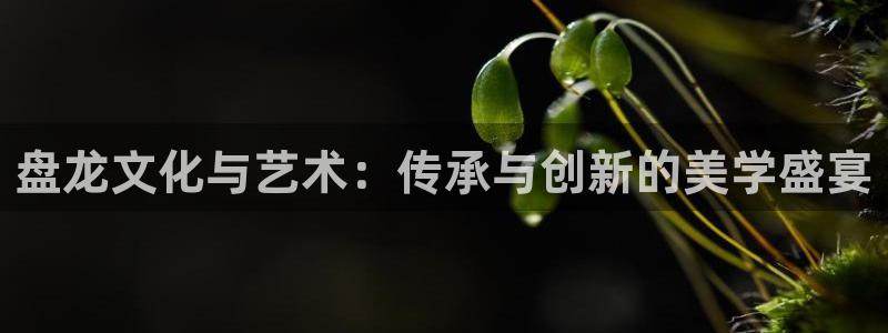 age动漫官网在线入口：盘龙文化与艺术：传承与创新的美学盛宴